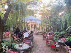 -Fern Forest Cafe