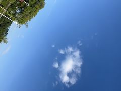 -东莞植物园