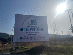 -金石滩蓝莓谷庄园