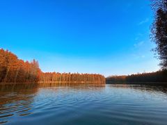 -上海海湾国家森林公园