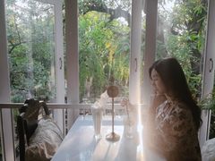 -Fern Forest Cafe