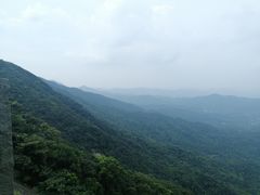 -罗浮山嘉宝田森林温泉度假酒店