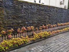门面-老洋房花园饭店(绍兴路店)