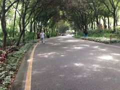 iphone_upload_pic-南国桃园旅游度假区