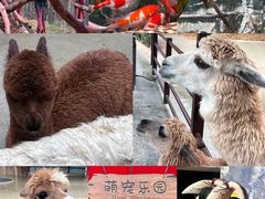 -杭州野生动物世界