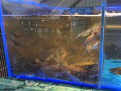 -海底捞火锅(长宁路龙之梦店)