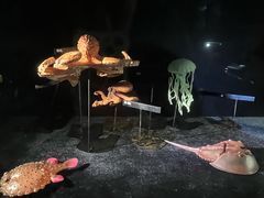 -同济大学四平路校区深海探索馆