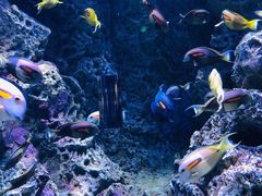 -成都浩海立方海洋公园