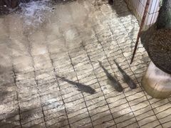-柴米油盐(土菜院子店)