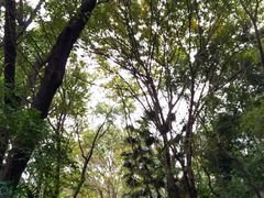 -中山公园(石岐街道)