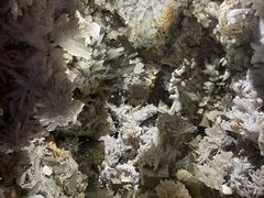 -湖南省地质博物馆