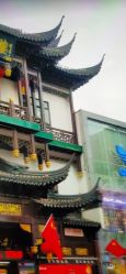 -荟华楼金店(中街店)