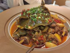-洞庭家宴·头牌甲鱼(广渠门店)