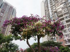 -铁路文化公园