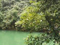 -将军关探险漂流