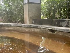 -融汇温泉