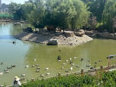 -青藏高原野生动物园