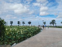 -滆湖低碳生态公园