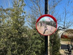 -西部长青自然儿童乐园