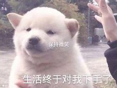 -博金年代 KTV(湖北大学店)