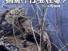 -上海海洋水族馆