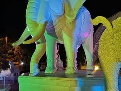 -清迈夜间动物园