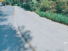 -素清香(解放路店)