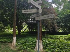 -苏州河梦清园环保主题公园