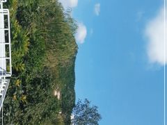 -府君山公园