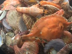 -大锅强·蒸海鲜青岛菜(吾悦广场店)