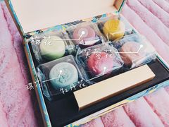 -奈雪的茶(石家庄万象城店)