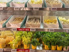 -旺蜀主成都串串火锅(西直门凯德MALL店)