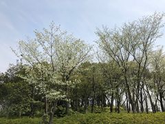 -尚贤河湿地