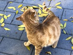 -婕妮璐超市 Jenny Lou’s Shop(三里屯店)