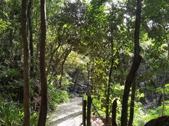 -七仙岭温泉国家森林公园