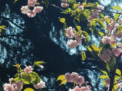 -昆山城市生态森林公园