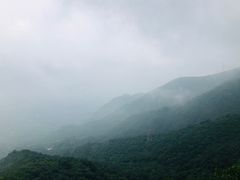 -阳台山自然风景区