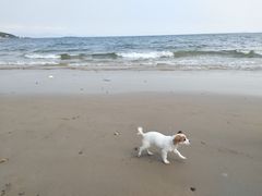 -霞涌市场海鲜摆卖区