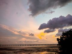 -宝安西湾红树林湿地公园