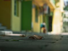 -石井坡(地铁站)