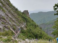 -朱雀国家森林公园