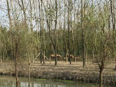 -溱湖国家湿地公园