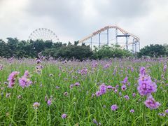-雀儿山公园
