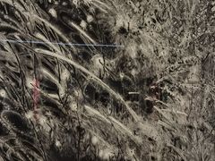 -江苏省美术馆(长江路新馆)