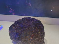 -吉林市博物馆