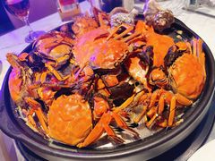 -半岛听涛蒸汽海鲜自助(K11店)