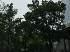 -钱江新城灯光秀