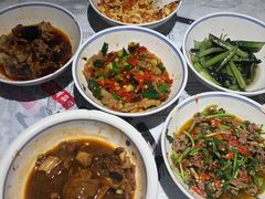 鸭掌筋-壹盏灯(蚂蚁工房店)