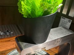 -九田家黑牛烤肉料理(新辰里亚运村店)
