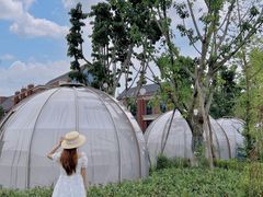 -悦见花开·花园里的火锅·露营·下午茶